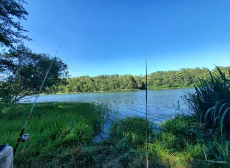 Lake Wedington Campground