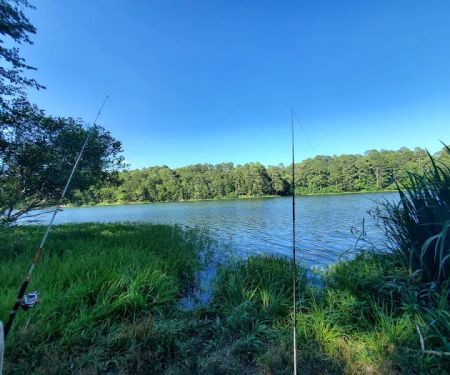 Lake Wedington Campground
