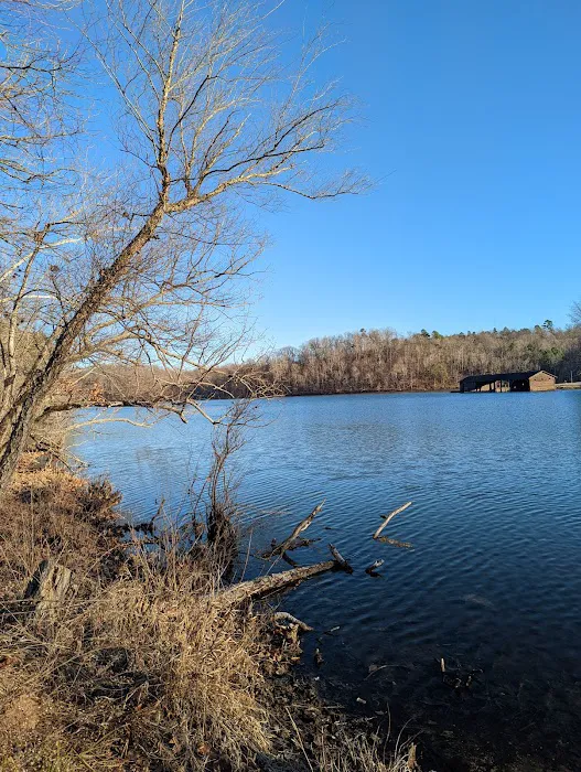 Lake Wedington Campground Picture 6