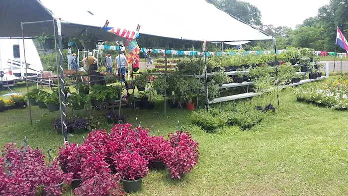 Crockett Trade Days and RV Park Picture 8