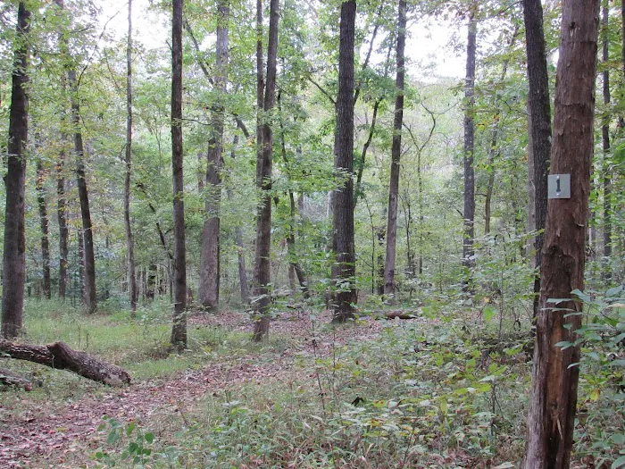 Devil’s Den Area A Picture 10