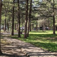 Devil’s Den Area D Group Camp ico