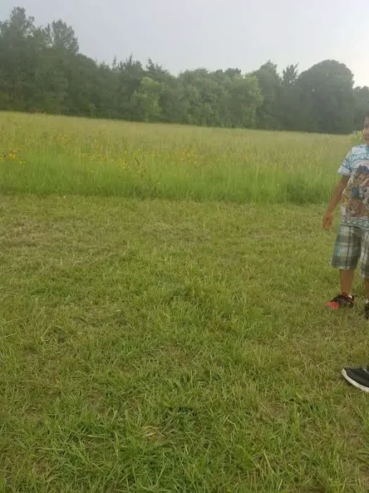 Wildwood RV Park Picture 5