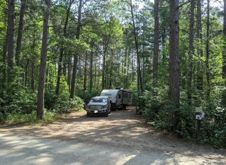 Chippewa National Forest Onegume Campground
