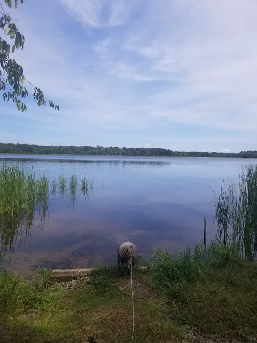Chippewa National Forest Onegume Campground Picture 6