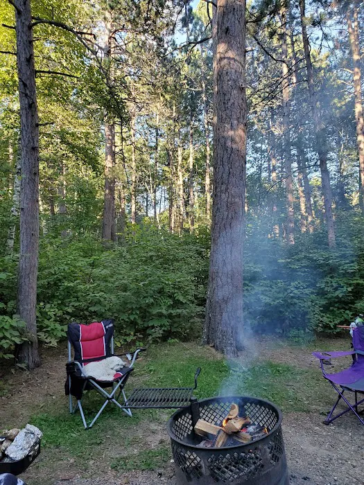 Chippewa National Forest Onegume Campground Picture 8