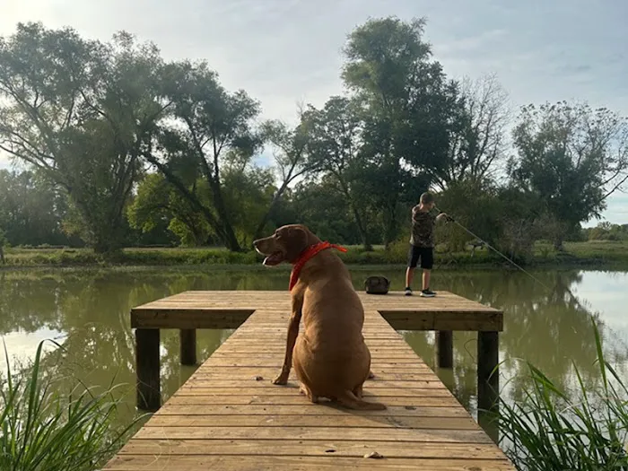 River Rat Resort Picture 5