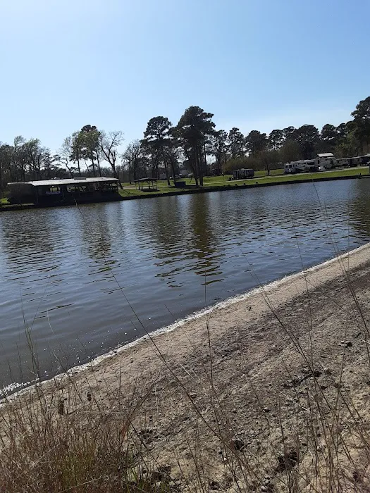 Shoreline RV Park Picture 3