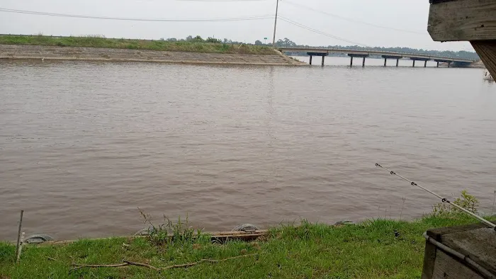 Shoreline RV Park Picture 6