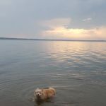 Wanaki Campground