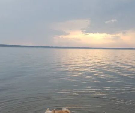 Wanaki Campground