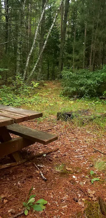 Wanaki Campground Picture 6