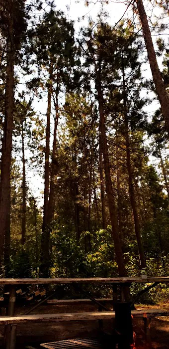 Wanaki Campground Picture 5