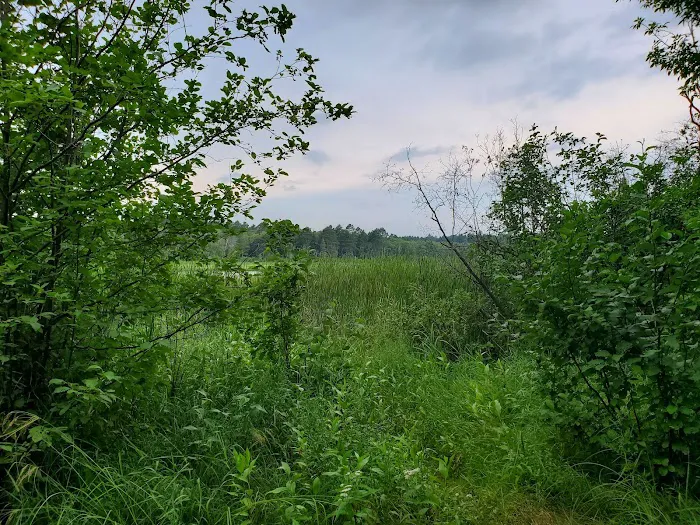 Mosomo Point Campground Picture 6