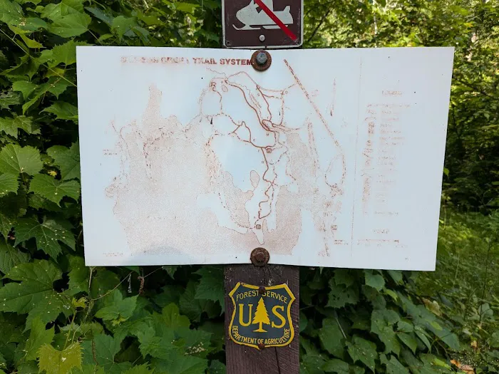 East Seelye Bay Campground Picture 6