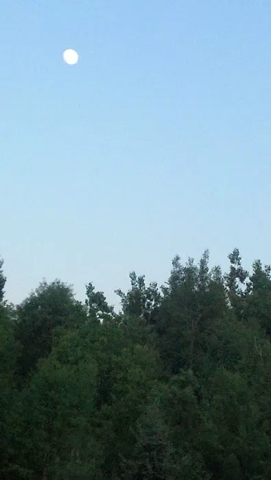Akeley City Park & Campground Picture 6