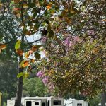 The Ouachita Rv Park