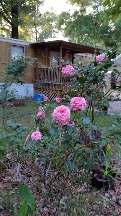 Pecanland Mobile Home & R.V. Park Picture 3