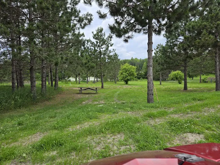 Daisy lake RV Campground Picture 7