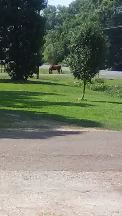 Reagan Mobile Home Park Picture 1