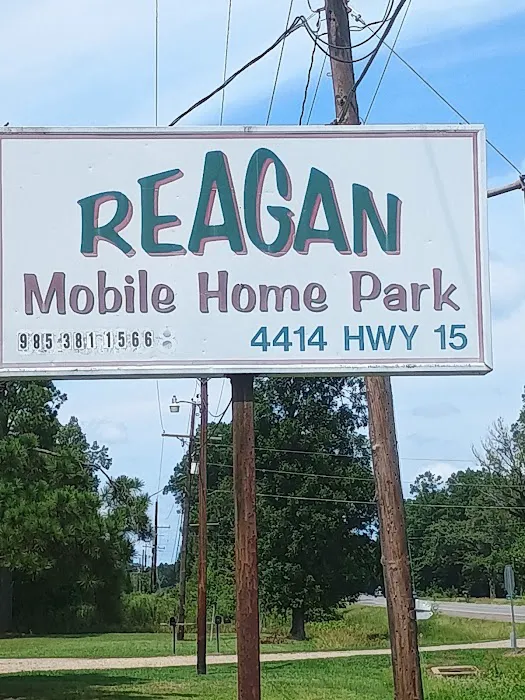 Reagan Mobile Home Park Picture 2