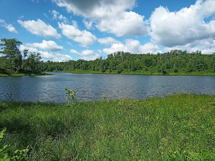 Gulch Lake Campground Picture 5