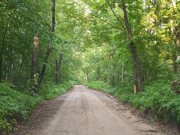 Gulch Lake Campground Picture 7