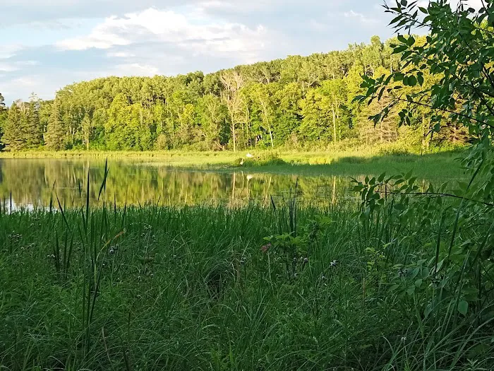 Gulch Lake Campground Picture 8