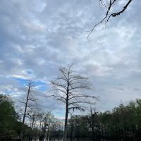 Raz’s Retreat RV Park ico