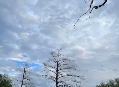 Raz’s Retreat RV Park