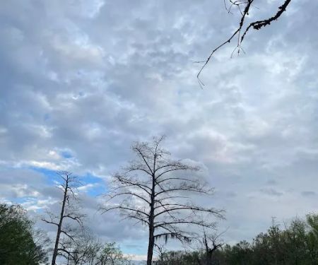 Razu2019s Retreat RV Park