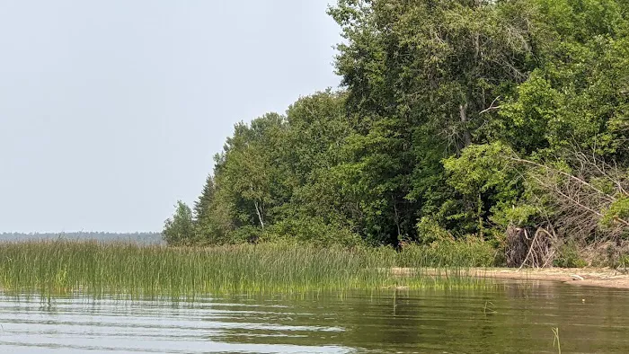 South Pike Bay Campground Picture 9