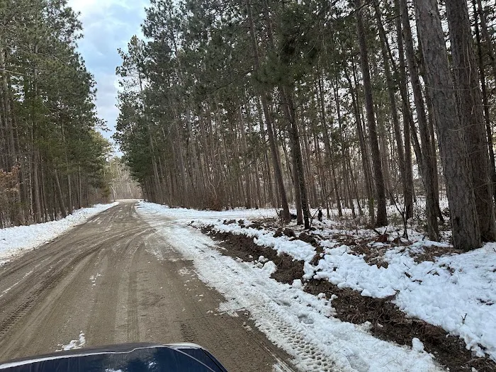 Ojibway Campground Picture 2