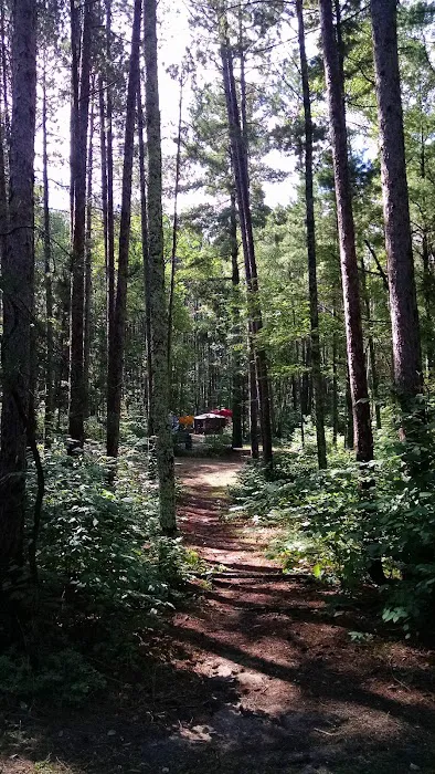 CASS LAKE LOOP Picture 2