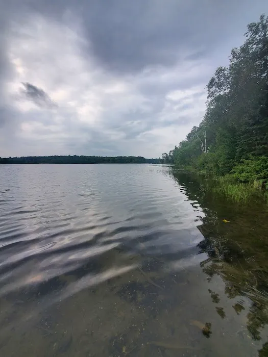 Mantrap Lake Campground Picture 7