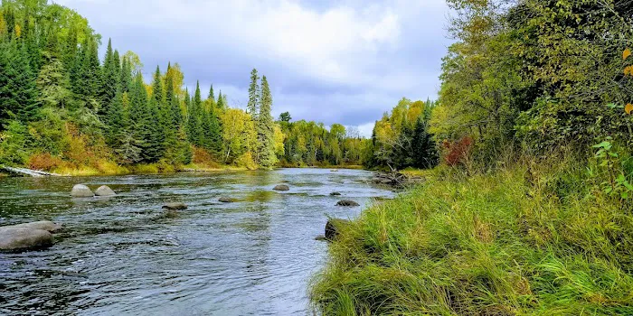 Forestry Department Picture 7