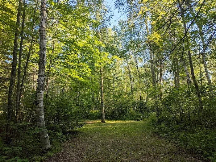 Noma Lake Campground Picture 3