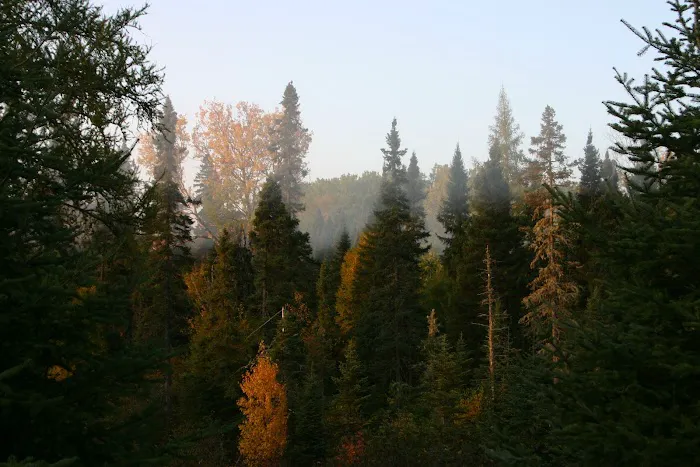 Poplar River Rustic Campground Picture 6