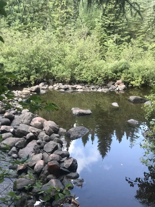 Poplar River Rustic Campground Picture 7