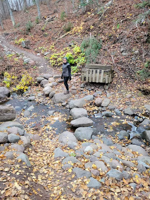 Springdale Creek Camp Picture 1