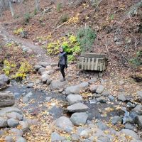 Springdale Creek Camp ico