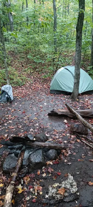 Springdale Creek Camp Picture 4