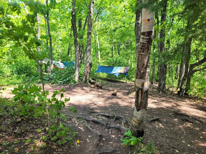 Springdale Creek Camp Picture 3