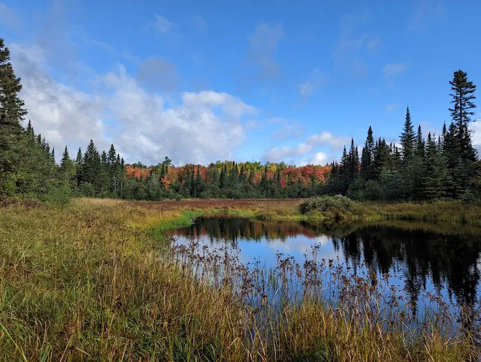 West Leveaux Pond Camp Picture 2