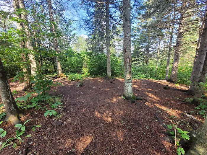 West Leveaux Pond Camp Picture 1
