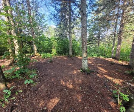 West Leveaux Pond Camp