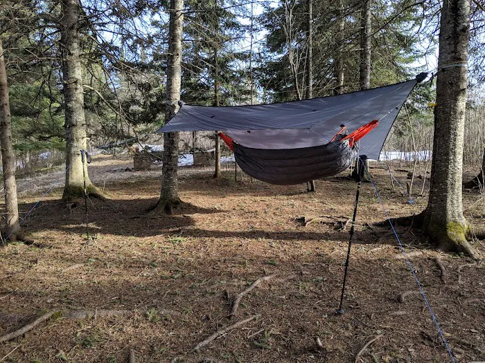 West Leveaux Pond Camp Picture 5