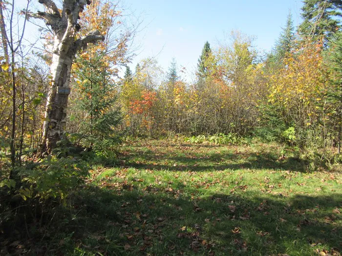 West Leveaux Pond Camp Picture 3