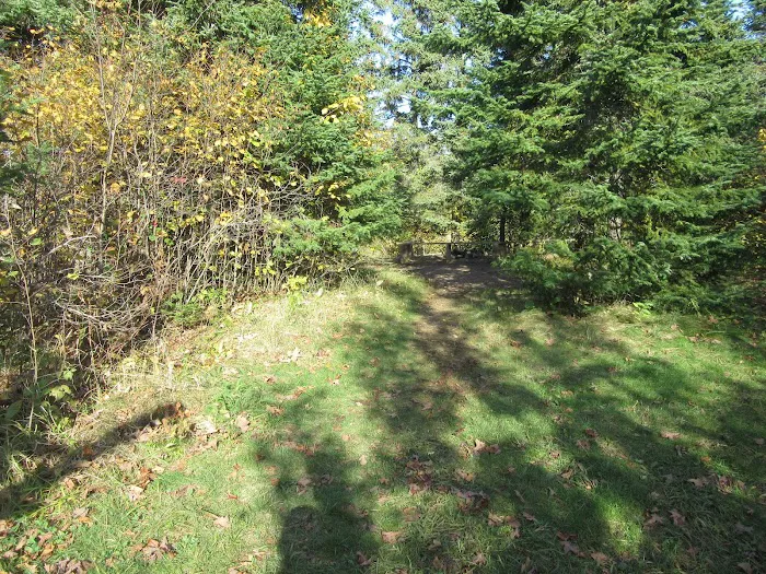 West Leveaux Pond Camp Picture 9