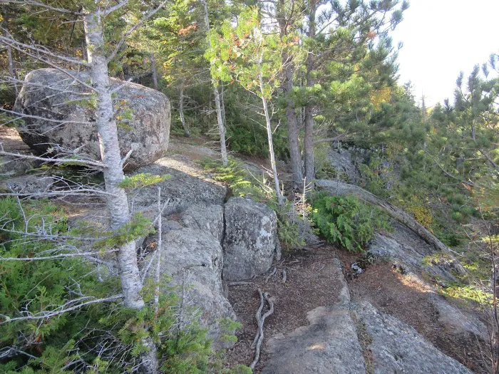 Onion River Camp Picture 5